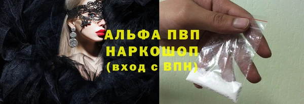 ECSTASY Богородск