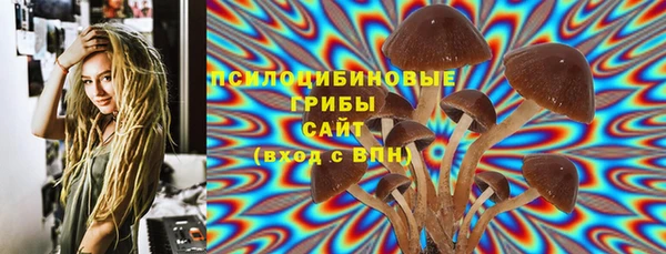 прущие крисы Белоозёрский