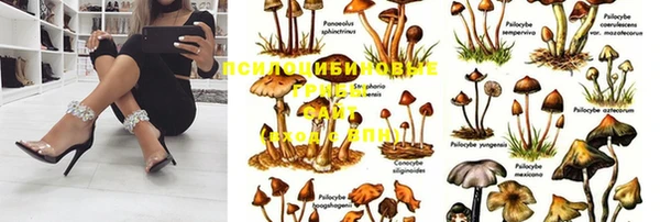 альфа пвп Белокуриха