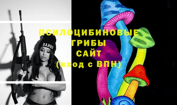 прущие крисы Белоозёрский